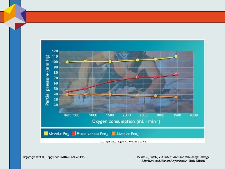 Copyright © 2007 Lippincott Williams & Wilkins. Mc. Ardle, Katch, and Katch: Exercise Physiology: