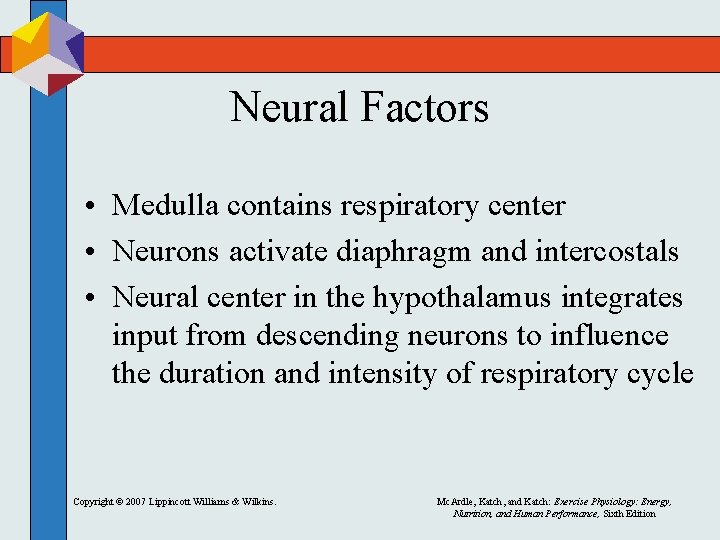 Neural Factors • Medulla contains respiratory center • Neurons activate diaphragm and intercostals •