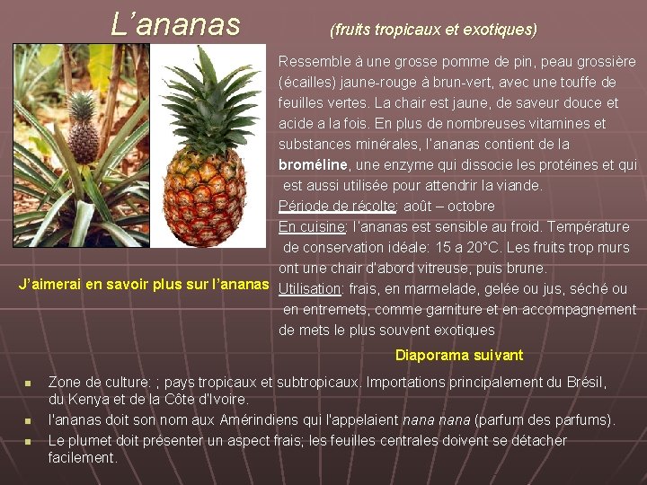 L’ananas (fruits tropicaux et exotiques) Ressemble à une grosse pomme de pin, peau grossière