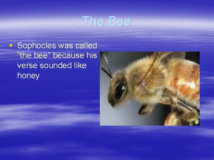 The Bee § Sophocles was called “the bee” because his verse sounded like honey