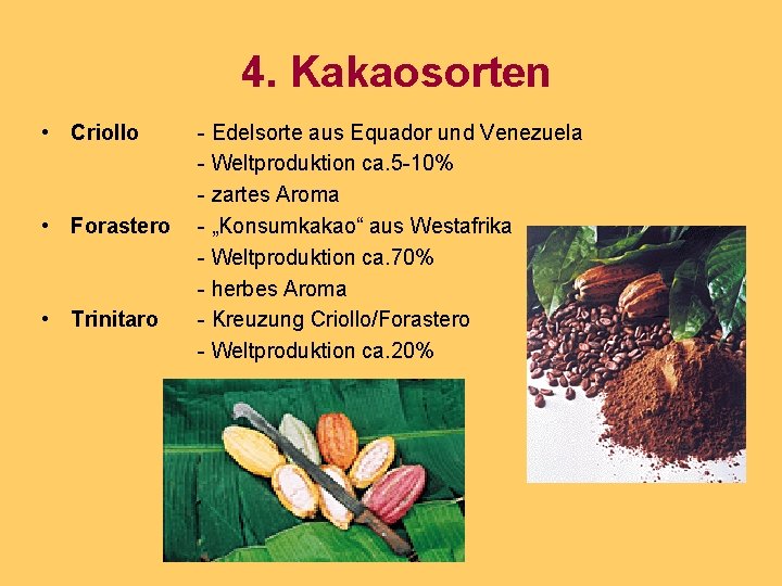 4. Kakaosorten • Criollo • Forastero • Trinitaro - Edelsorte aus Equador und Venezuela