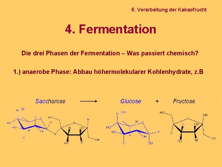 6. Verarbeitung der Kakaofrucht 4. Fermentation Die drei Phasen der Fermentation – Was passiert
