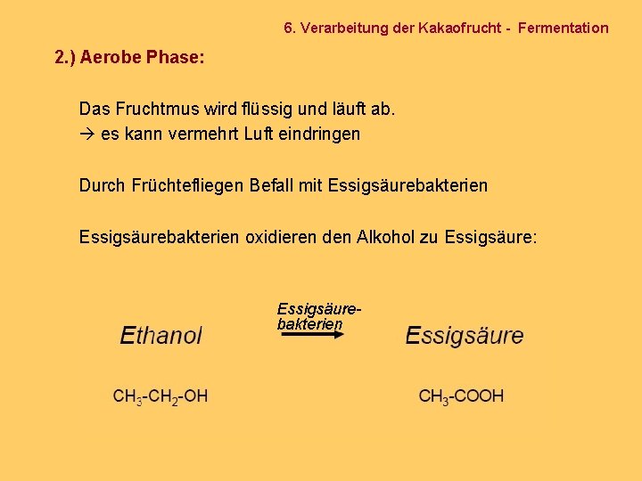 6. Verarbeitung der Kakaofrucht - Fermentation 2. ) Aerobe Phase: Das Fruchtmus wird flüssig