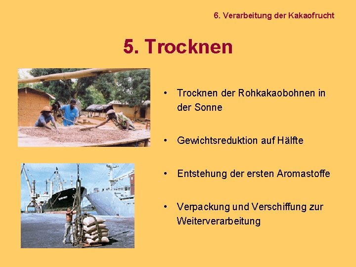 6. Verarbeitung der Kakaofrucht 5. Trocknen • Trocknen der Rohkakaobohnen in der Sonne •