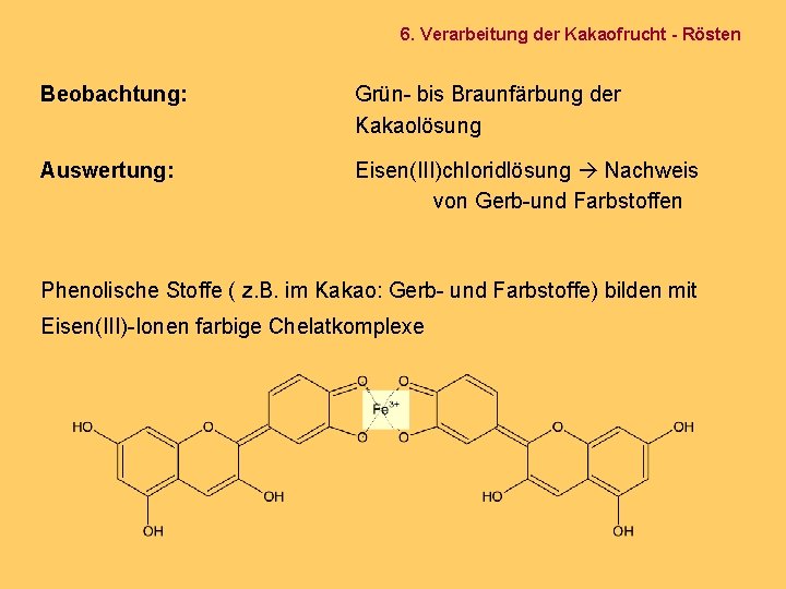 6. Verarbeitung der Kakaofrucht - Rösten Beobachtung: Grün- bis Braunfärbung der Kakaolösung Auswertung: Eisen(III)chloridlösung