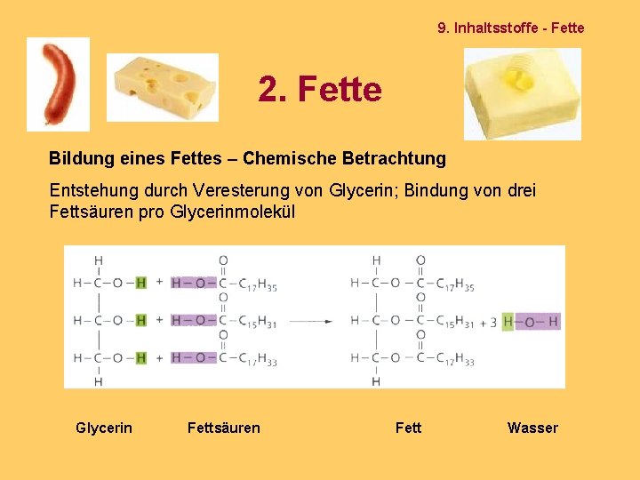 9. Inhaltsstoffe - Fette 2. Fette Bildung eines Fettes – Chemische Betrachtung Entstehung durch