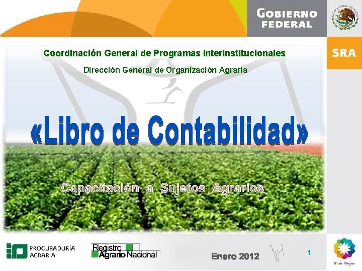 Coordinación General de Programas Interinstitucionales Dirección General de Organización Agraria Capacitación a Sujetos Agrarios
