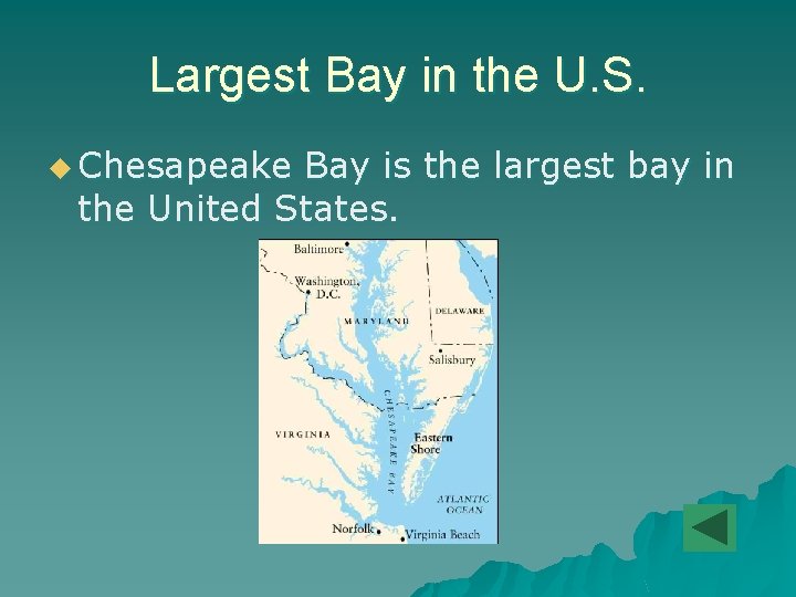 Largest Bay in the U. S. u Chesapeake Bay is the largest bay in