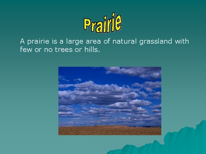 A prairie is a large area of natural grassland with few or no trees