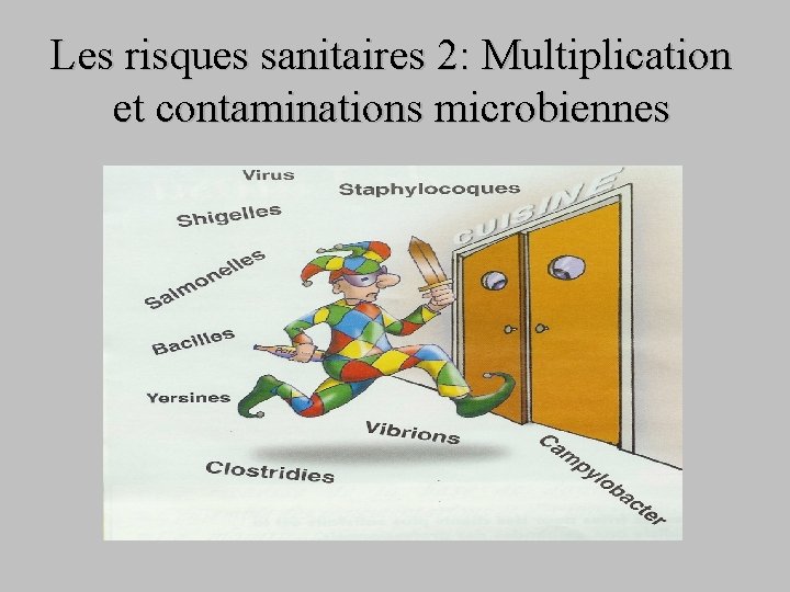 Les risques sanitaires 2: Multiplication et contaminations microbiennes 