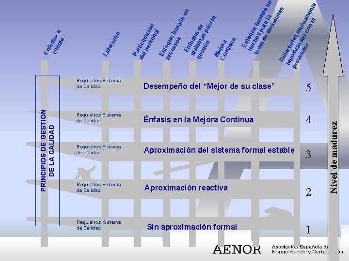 PRINCIPIOS DE GESTION DE LA CALIDAD Desempeño del “Mejor de su clase” 5 Requisitos