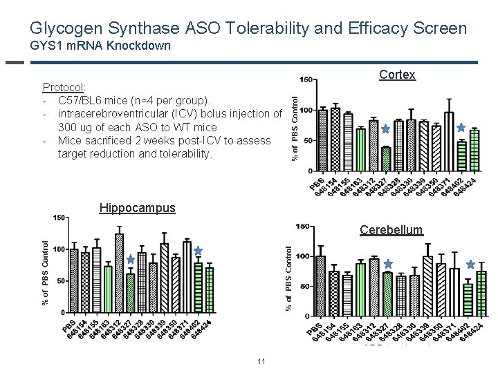 Glycogen Synthase ASO Tolerability and Efficacy Screen GYS 1 m. RNA Knockdown % of