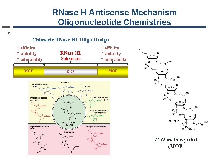 RNase H Antisense Mechanism Oligonucleotide Chemistries 5 Chimeric RNase H 1 Oligo Design ↑