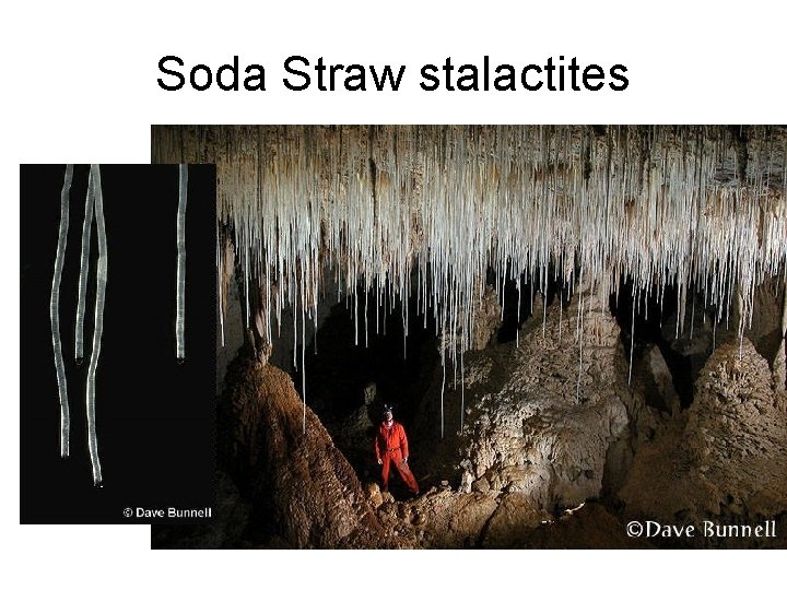 Soda Straw stalactites Soda Straw stalactites