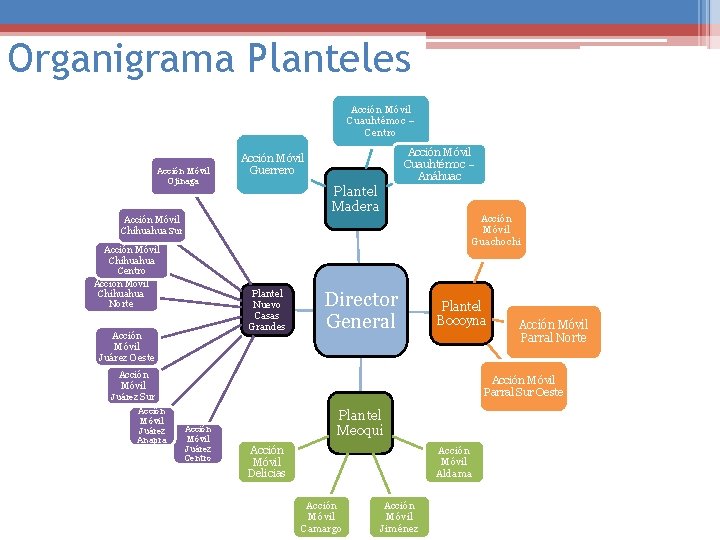 Organigrama Planteles Acción Móvil Cuauhtémoc – Centro Acción Móvil Ojinaga Acción Móvil Cuauhtémoc –