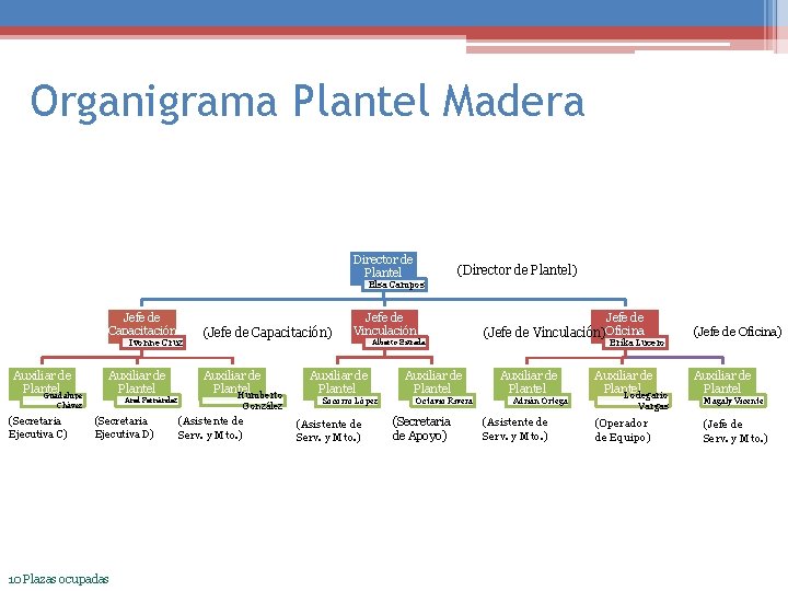 Organigrama Plantel Madera Director de Plantel (Director de Plantel) Elsa Campos Jefe de Capacitación
