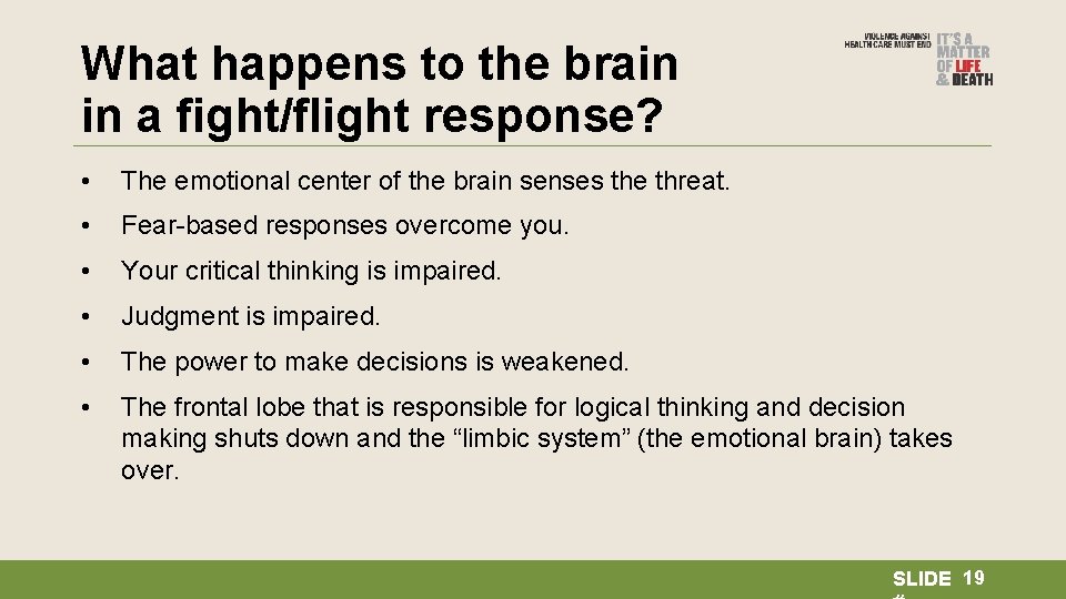What happens to the brain in a fight/flight response? • The emotional center of