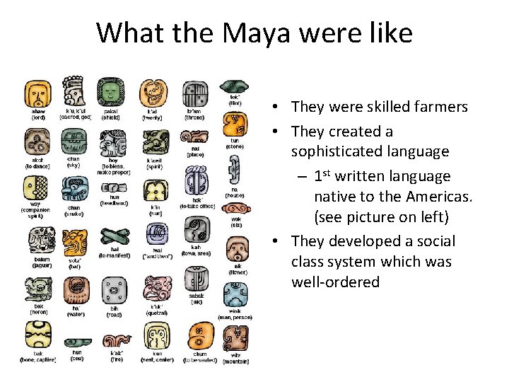 What the Maya were like • They were skilled farmers • They created a