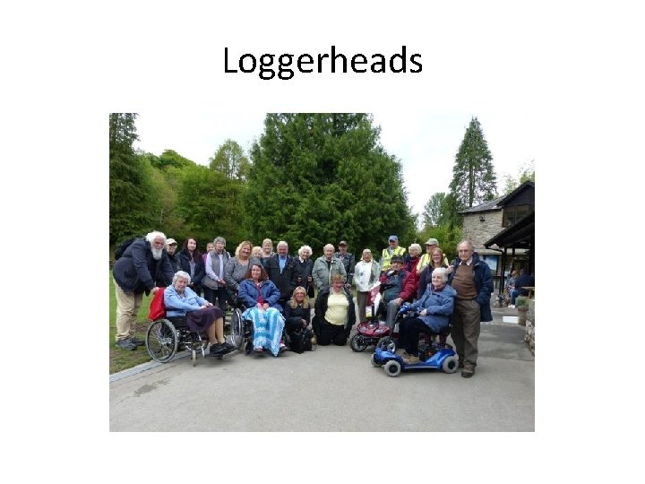 Loggerheads 