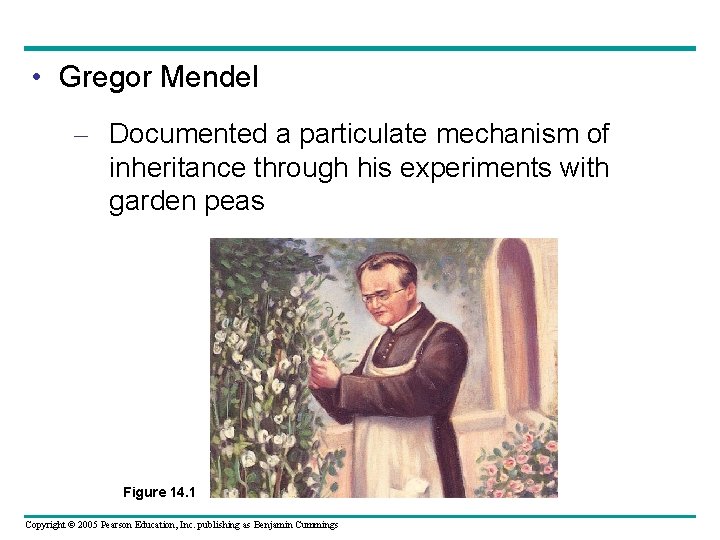  • Gregor Mendel – Documented a particulate mechanism of inheritance through his experiments