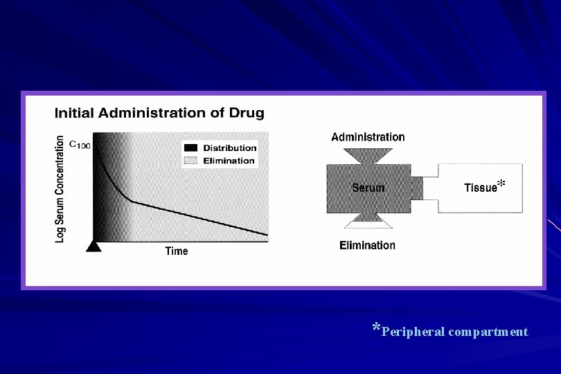 *Peripheral compartment 