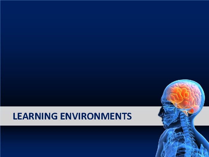 LEARNING ENVIRONMENTS LEARNING ENVIRONMENTS