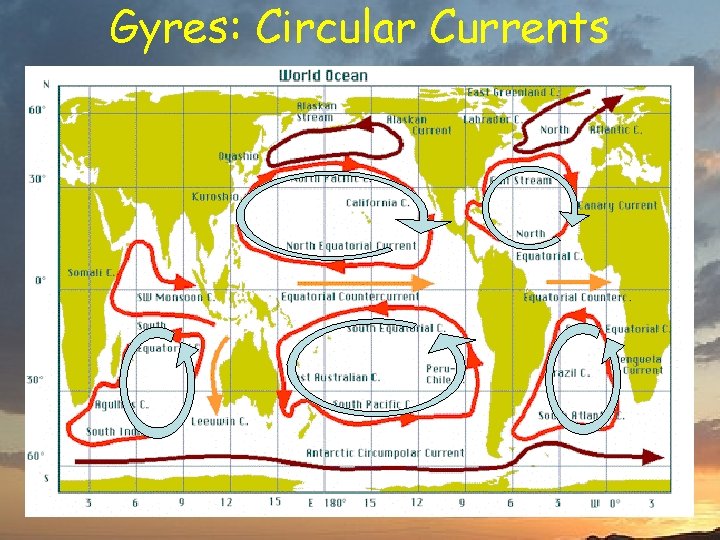 Gyres: Circular Currents North Atlantic Gyre Turning and turning in the widening gyre The