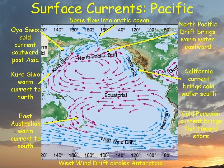 Surface Currents: Pacific Some flow into arctic ocean Oya Siwo: cold current soutward past