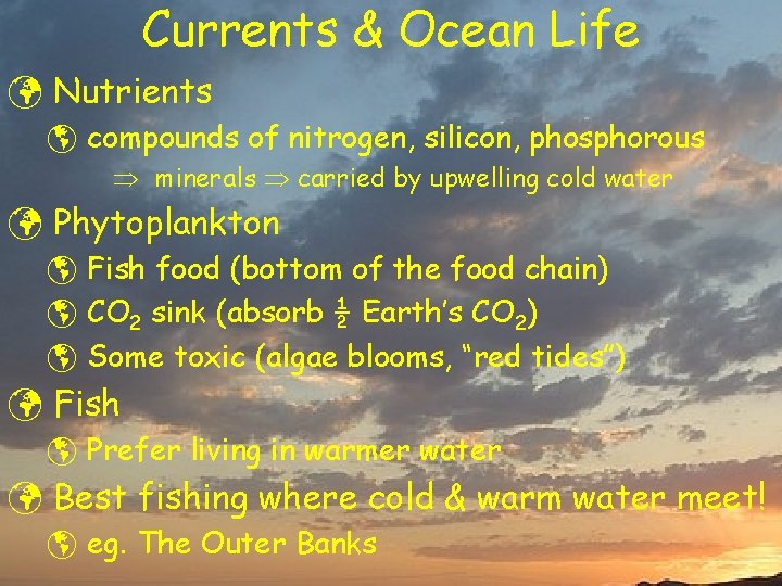 Currents & Ocean Life ü Nutrients þ compounds of nitrogen, silicon, phosphorous minerals carried