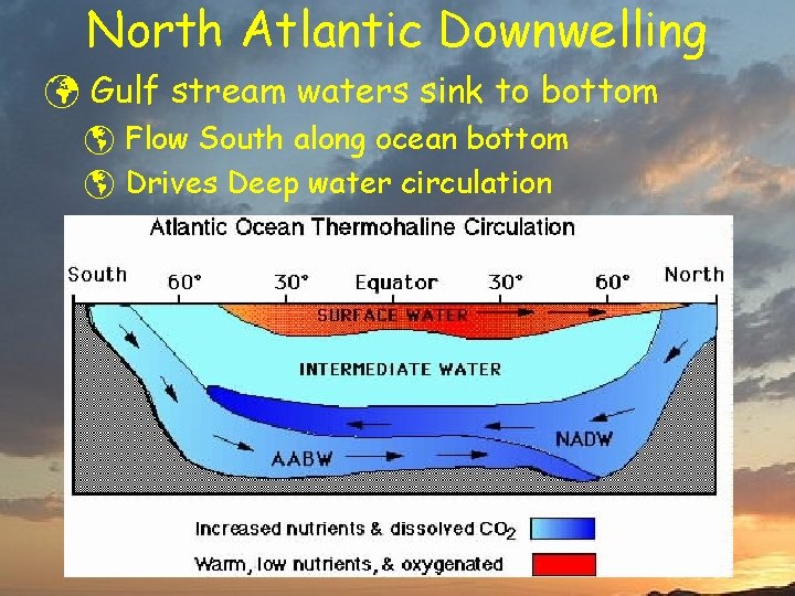 North Atlantic Downwelling ü Gulf stream waters sink to bottom þ Flow South along