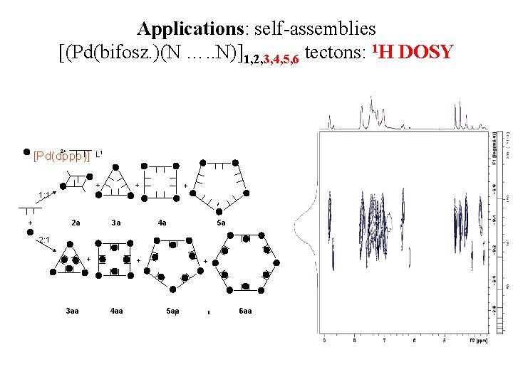 Applications: self-assemblies [(Pd(bifosz. )(N …. . N)]1, 2, 3, 4, 5, 6 tectons: 1