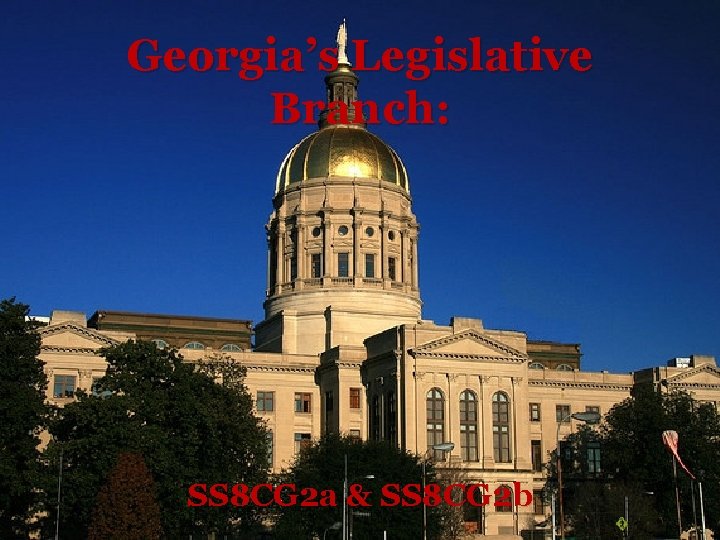 Georgia’s Legislative Branch: SS 8 CG 2 a & SS 8 CG 2 b