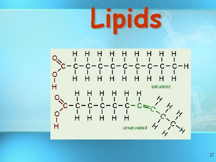 Lipids 12 