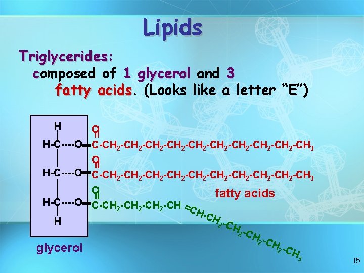 Lipids Triglycerides: composed of 1 glycerol and 3 fatty acids (Looks like a letter