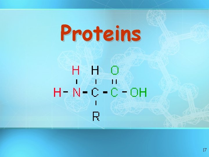 Proteins 17 