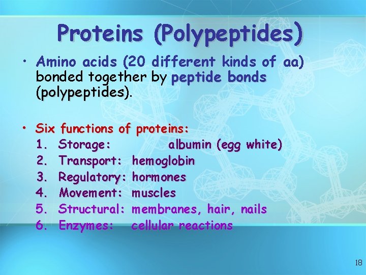 Proteins (Polypeptides) • Amino acids (20 different kinds of aa) bonded together by peptide