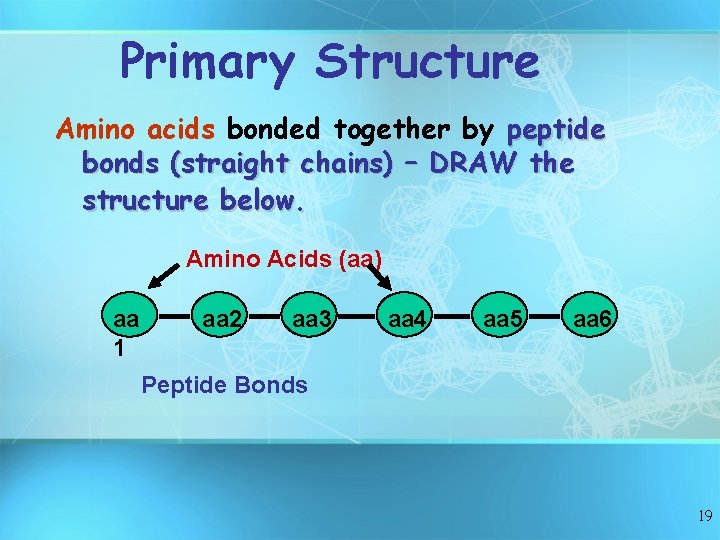 Primary Structure Amino acids bonded together by peptide bonds (straight chains) – DRAW the