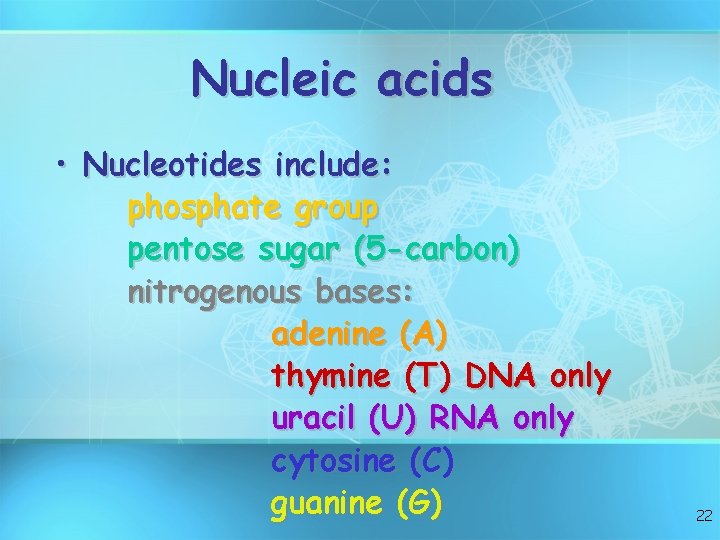 Nucleic acids • Nucleotides include: phosphate group pentose sugar (5 -carbon) nitrogenous bases: adenine