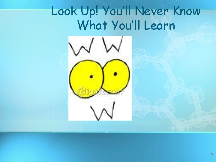 Look Up! You’ll Never Know What You’ll Learn 3 