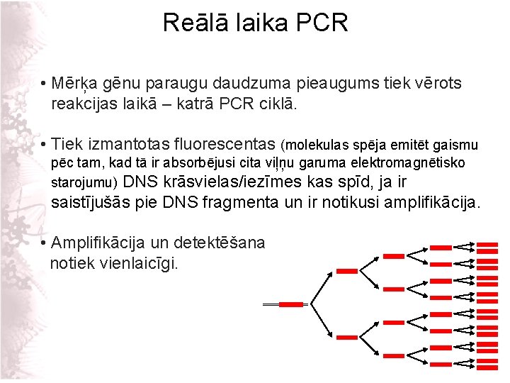 Reālā laika PCR • Mērķa gēnu paraugu daudzuma pieaugums tiek vērots reakcijas laikā –