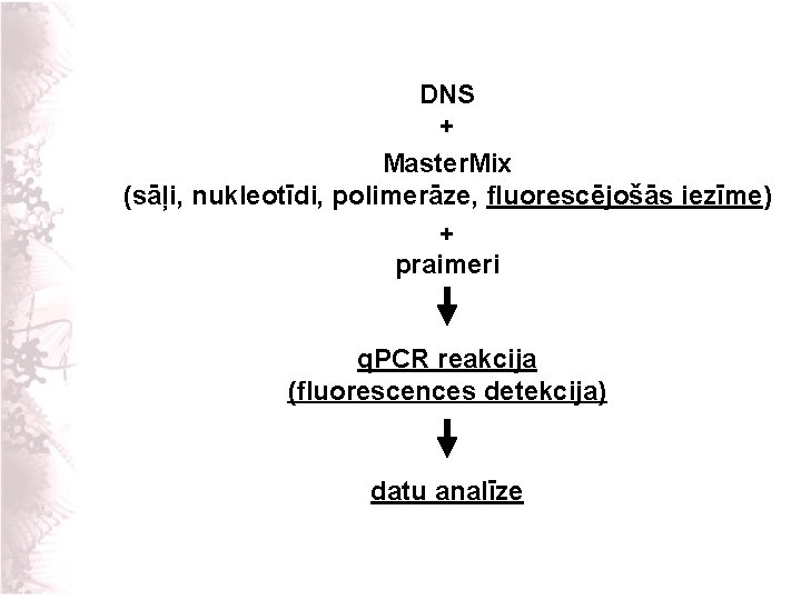 DNS + Master. Mix (sāļi, nukleotīdi, polimerāze, fluorescējošās iezīme) + praimeri q. PCR reakcija