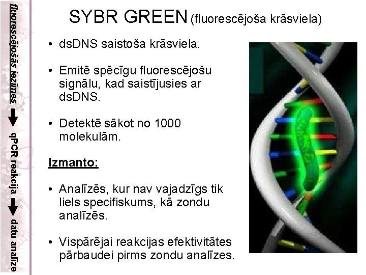 fluorescējošās iezīmes SYBR GREEN (fluorescējoša krāsviela) • ds. DNS saistoša krāsviela. • Emitē spēcīgu