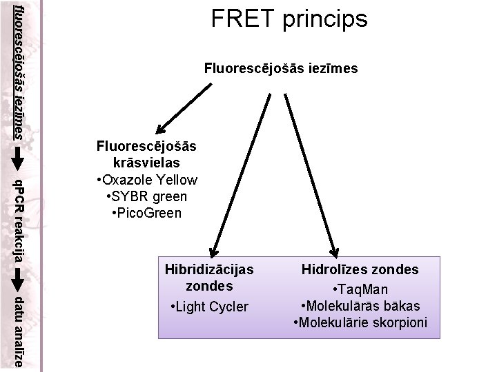 fluorescējošās iezīmes FRET princips Fluorescējošās iezīmes q. PCR reakcija Fluorescējošās krāsvielas • Oxazole Yellow