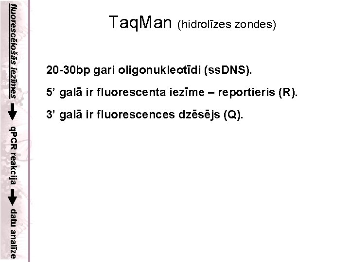 fluorescējošās iezīmes Taq. Man (hidrolīzes zondes) 20 -30 bp gari oligonukleotīdi (ss. DNS). 5’
