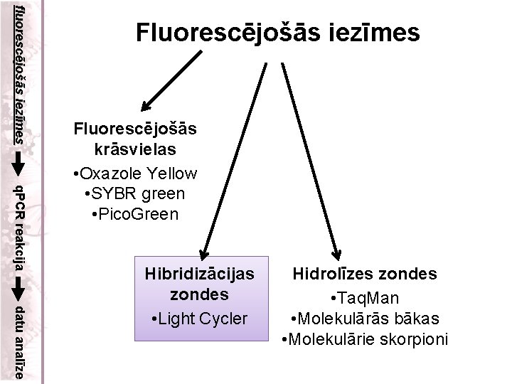 fluorescējošās iezīmes Fluorescējošās iezīmes q. PCR reakcija Fluorescējošās krāsvielas • Oxazole Yellow • SYBR