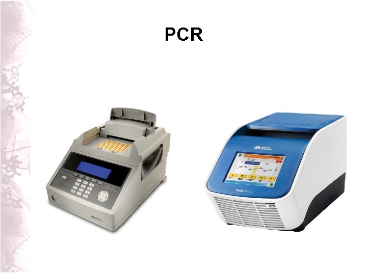 PCR 