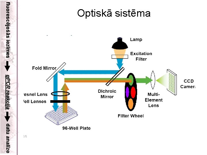 fluorescējošās iezīmes Optiskā sistēma q. PCR reakcija datu analīze 