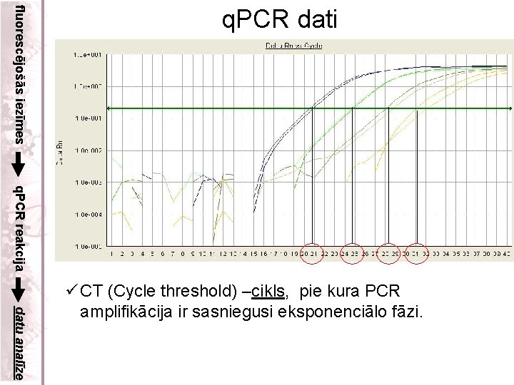 fluorescējošās iezīmes q. PCR dati q. PCR reakcija datu analīze ü CT (Cycle threshold)