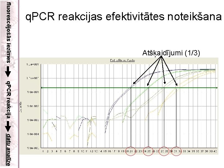 fluorescējošās iezīmes q. PCR reakcijas efektivitātes noteikšana Atšķaidījumi (1/3) q. PCR reakcija datu analīze