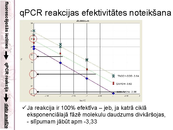 fluorescējošās iezīmes q. PCR reakcijas efektivitātes noteikšana q. PCR reakcija datu analīze ü Ja